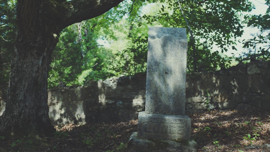 The Cost of Non-Discipleship